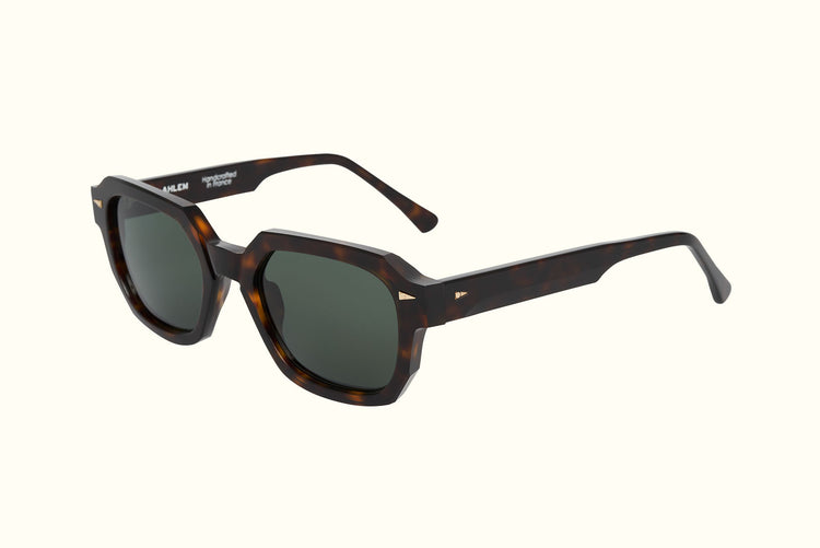 BELLACHASSE DARK TURTLE